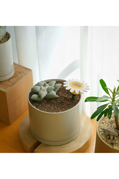 Decorstation Пристрій для крапельного поливу рослин у вигляді ромашки