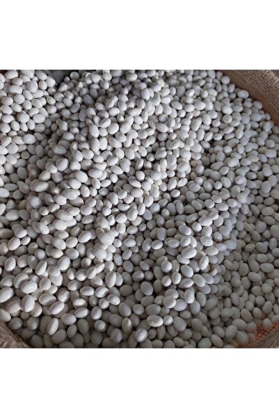 irfan bakliyat İspir Fasülye (ŞEKER FASÜLYE) 3 Kg