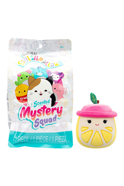 Squishmallows Mystery Squad Surprise Figure 13 cm Cr03611