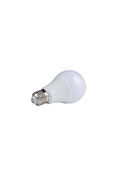 LED AMPUL 12 WATT 12-24 DC-AC BEYAZ IŞIK