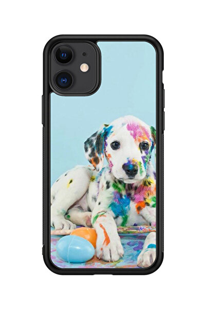 no markte كفر ايفون 11 متعدد الألوان