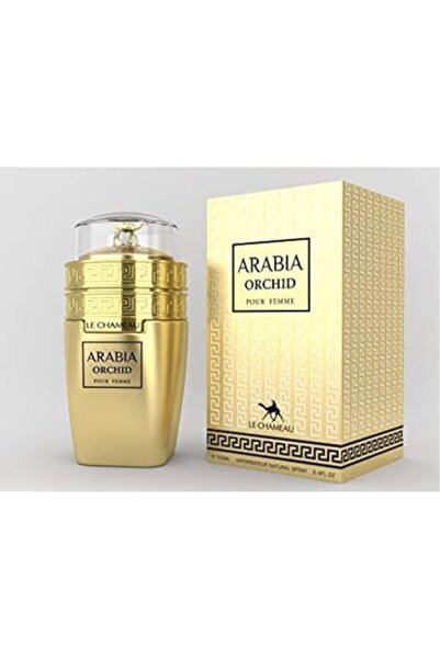 Amber عطر أرابيا أوركيد للنساء - 100 مل