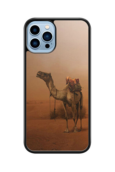 no markte كفر ايفون 13 برو متعدد الألوان