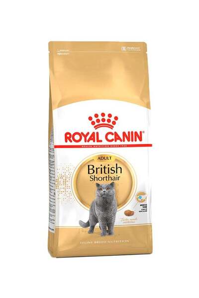 Royal Canin Feline Breed British Shorthair Adult Nutrition Cat Dry Food Multicolour 4kg