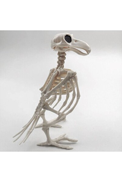 Choice الياقوت العميق العظام المجنونة الهيكل العظمي الغراب البلاستيك الحيوان الهيكل العظمي العظام الرعب هالوين ديكور ها