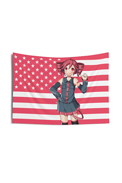 Choice 40 سم × 60 سم 03-3d نسيج مطرز هاتسون ميكو علم أمريكا نسيج مطرز خلفية أ...