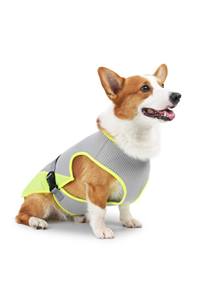 Choice M GRAY Cooling Vest - Breathable Dog Vest for Hot Summer Days - Adjust...