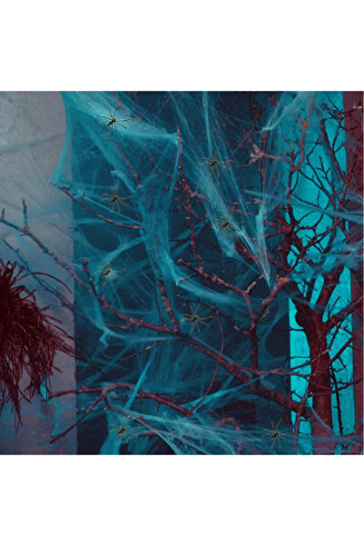 Richonour Set of 35 Halloween spiders and web Richonour, plastic/polyester, black/white