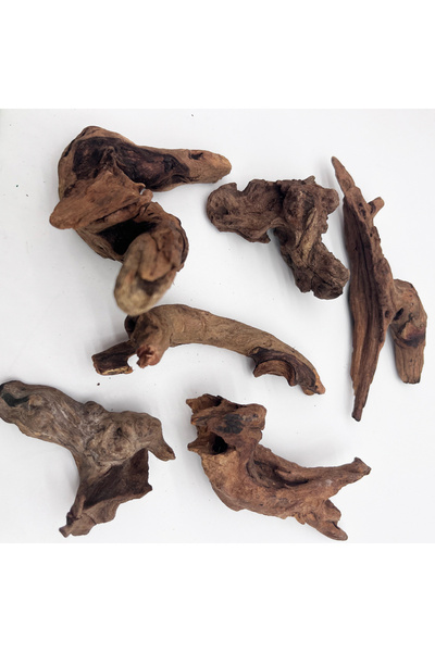 Choice1 6 قطع 5-10 سم 3/6/9 قطع ديكور المناظر الطبيعية الصغيرة 5-10 سم فروع ا...