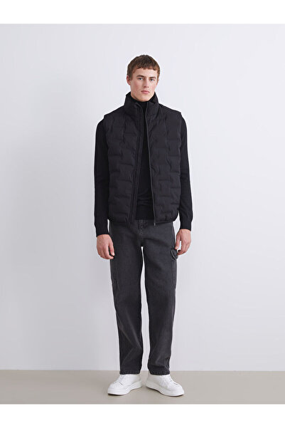 LC Waikiki Sparkling Choices from Shining Store | Standard Mold Stand-Up Collar Men's Puffer Vest