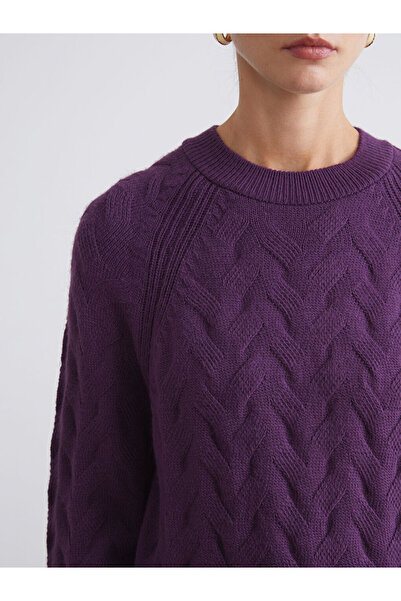 LC Waikiki Sparkling Choices from Shining Store | Crew Neck Self Patterned Women's Knitwear Sweater