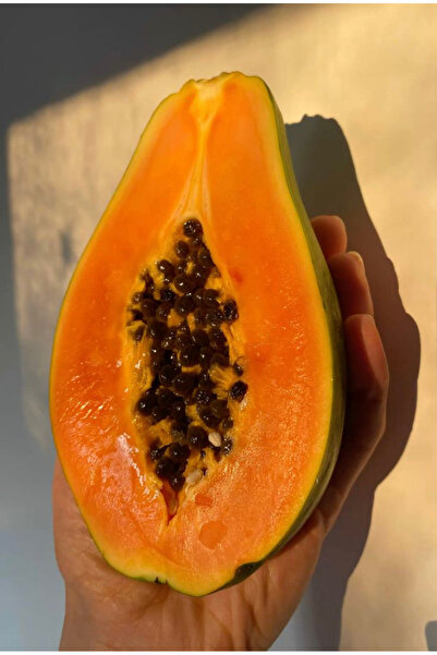 Tropical Bahçem Papaya Kg