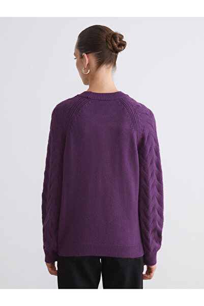 LC Waikiki Sparkling Choices from Shining Store | Crew Neck Self Patterned Women's Knitwear Sweater