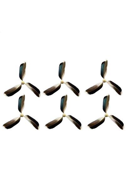 Choice 6 قطع من ألعاب الريش للقطط، لعبة تفاعلية للقطط، مجموعة من 6 عصي ريش لل...