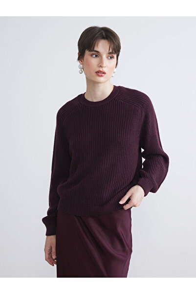 LC Waikiki Purple Crew Neck Women's Knitwear Sweater