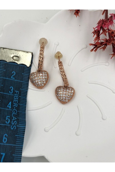 fmaccessoriess Steel Women's Earrings Stainless Steel Color and Size Are Designed in the Description Images Are by Fmaccesori̇es Brand