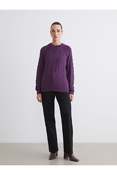 LC Waikiki Sparkling Choices from Shining Store | Crew Neck Self Patterned Women's Knitwear Sweater