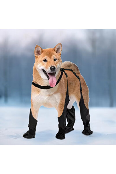 Choice M black 2025 أفضل أحذية الكلاب المضادة للانزلاق واقي أقدام الحيوانات ا...