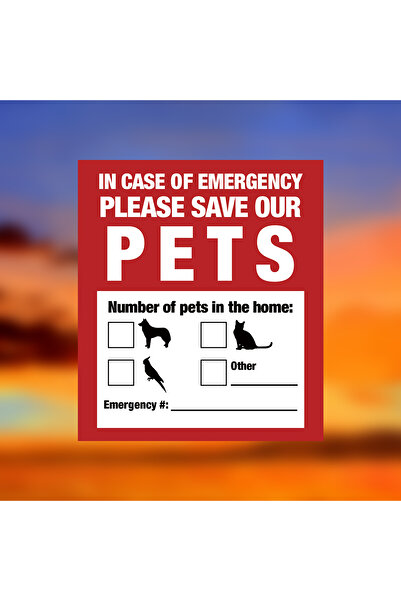 Choice ملصقات نافذة مقاس 11.5 × 10 سم ملصقات تنبيه الحيوانات الأليفة ملصقات ن...