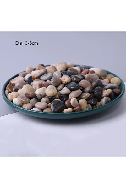 Choice حوالي ٢٥٠ غرامًا من الأحجار الملونة لتزيين أحواض السمك الطبيعية، ٢٥٠ غ...