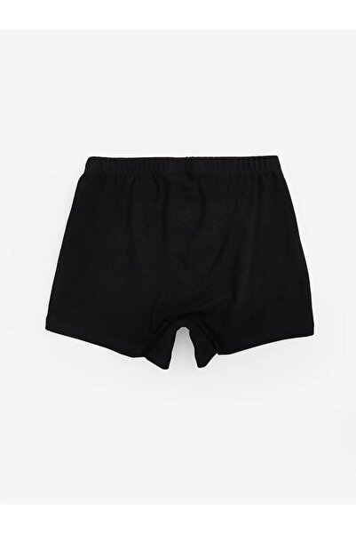 LC Waikiki Lcw Flat Boxer Briefs (W5)