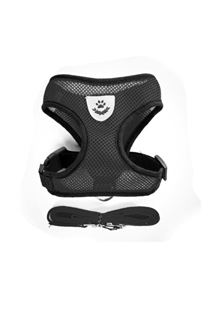 Choice4 M(2.5-4 kg) Black Cat Dog Harness with Lead Leash Adjustable Vest Pol...