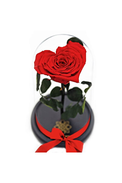 velve Cupola cu Trandafir Criogenat in forma de Inima Cupidon, Rosu,