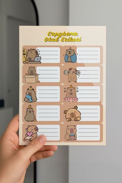 Planet Butik ملصقات مدرسية كابيبارا 2، عبوة من 3 قطع