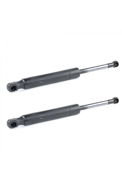 TRISCAN Set 2 amortizoare capota pentru Renault Latitude