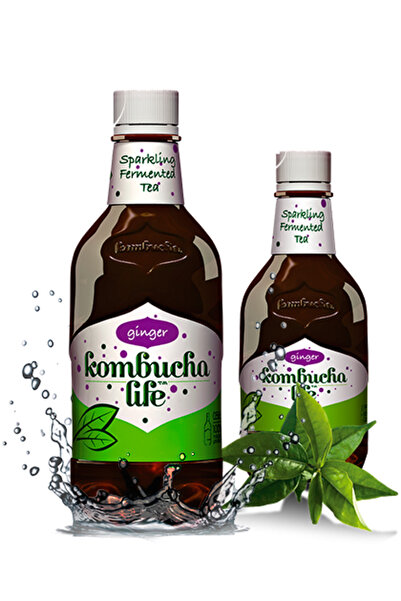 JollyMag Kombucha Life se zázvorem 500ml