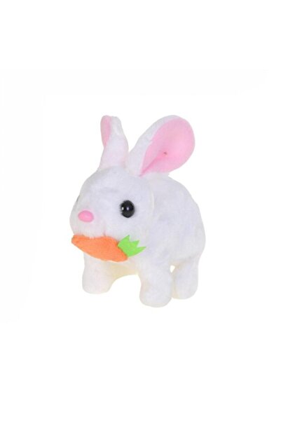 adayus Pilli Zıplayan Peluş Tavşan Oyuncak 15 cm – Havuçlu | 3 Renk | 3+ Yaş ...
