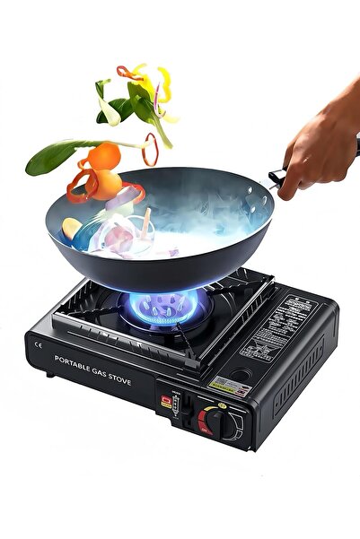 Denx Portable Gas Stove, Outdoor Cooking Burner, Travel Stove, Dual Gas Compa...