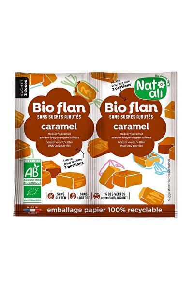 JollyMag Caramel pudding, organic, 2 pieces x 5g, Nat-ali