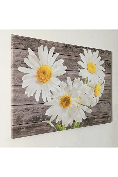 Emoda home Trove لوحة فنية من قماش ALAYRA لزهور الأقحوان البيضاء مقاس 40.6 × ...