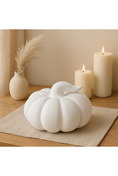 Decostonebiga KABAK BÜYÜK