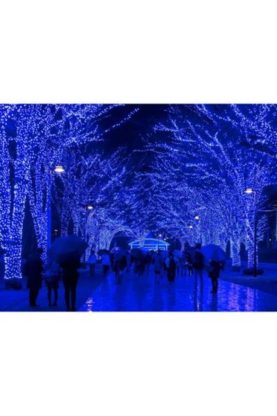 SDX Market Instalație de Crăciun 6 m x 0,7 m, Cortină cu franjuri albastre, 1...