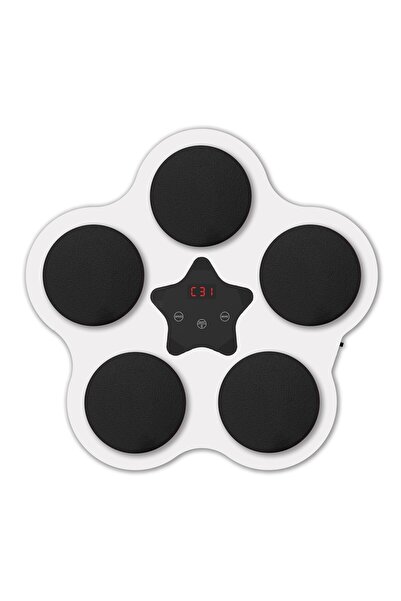 Flippy Boxing Toy with Music & Lights, Bluetooth, USB, Suction Mount, 5 Targets, White