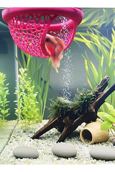 Akvaryum Beta Dinlenme Alanı Beta Yuvası Balık Yavrulugu Balık Yuvası