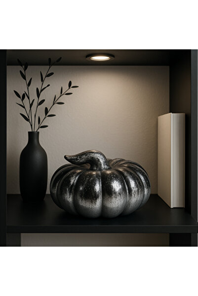 Decostonebiga KABAK BÜYÜK