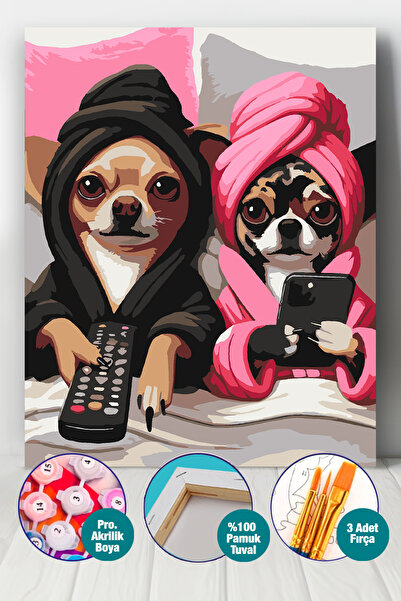 Picasso World Hobby Art Sayılarla Boyama Numaralı Tuval Seti Fırça Boya Dahil...