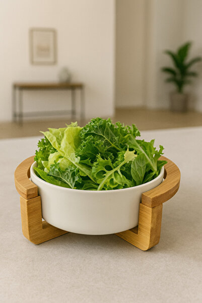 YzHome Porcelain Plate with Bamboo Stand Kitchen Tabletop Salad Plate Bowl 12cm