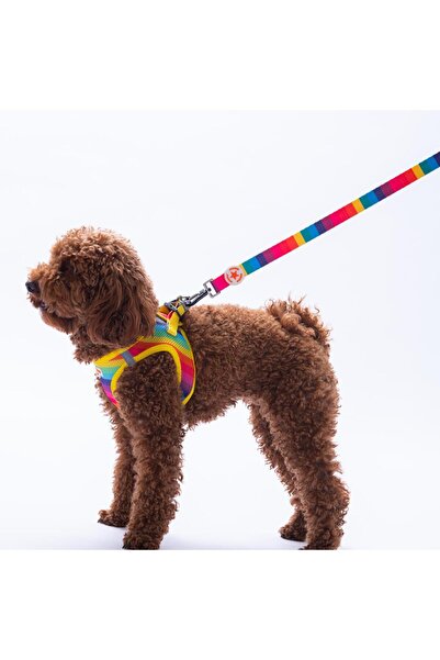 Pawstar Rainbow Leash Rainbow Patterned Cat Dog Walking & Traveling Strap Dog Extension Collar