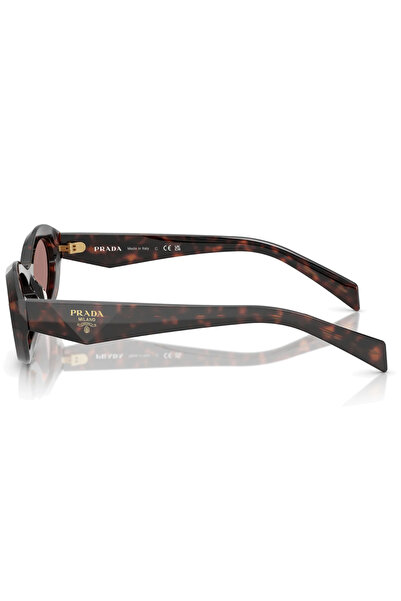 Prada Women Irregular Knight Sunglasses- Pr 26zs - Lense Size:55mm - Root Tortoise