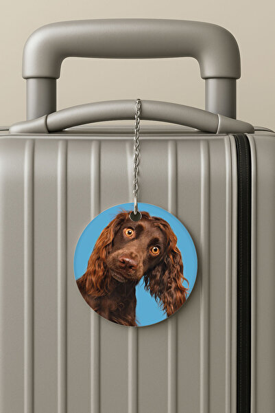 Cekuonline بطاقة تعريف الأمتعة من البليكسي مع سلسلة، تصميم لحقيبة السفر، مناسبة للعطلات والسفر