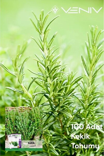 VENİV AGRİCULTURE 100 Adet Kekik Tohumu 2 Paket