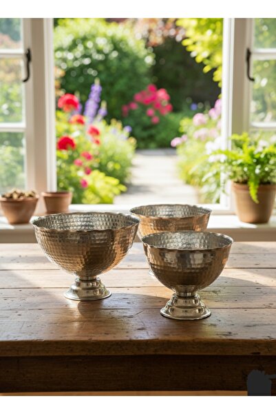 Zinnun Copper Nickel Plated Serving Presentation Bowl Set of 3