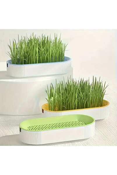 OBRO Maté planting kit without soil, tray and Vitakraft fast-growing seed packet, 2-3 days, 50g