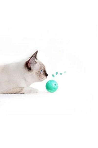 Petkit Support for Scratching and Playing with Cat Grass Scratcher 4 in 1