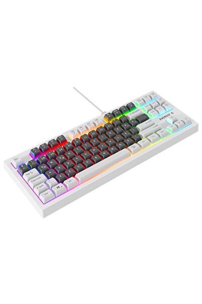 Appa Everest KB-98 SILENT TKL-MİNİ Gri Mavi/Beyaz Rainbow Q Membrane Klavye