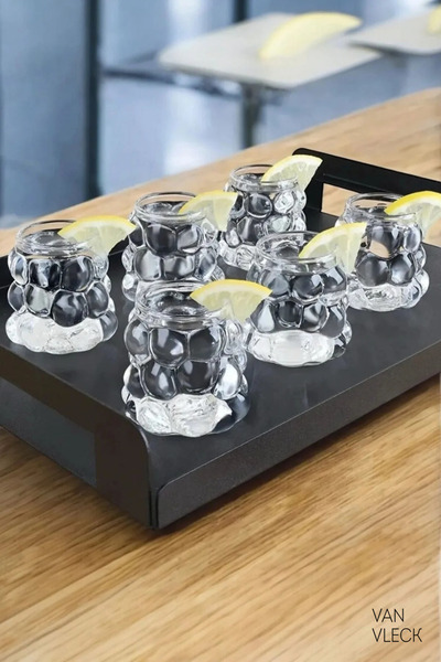 VAN VLECK 6-Piece Borosilicate Glass Coffee Side Water Glasses – Mini Size Bead Patterned Grape Model Presentation Glasses